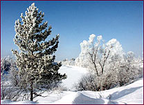 Russian Winter.